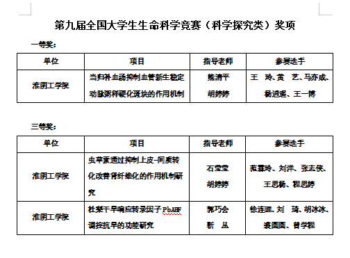 2024欧洲杯买球入口